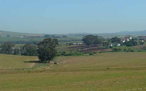  Farmlands iin the Swartland 